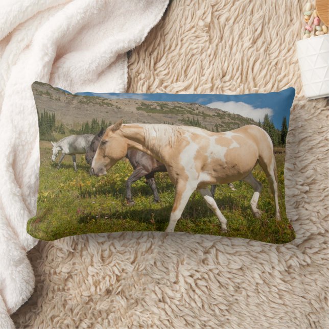 Horses and Mules Lumbar Pillow (Blanket)