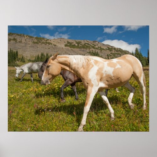 Horses and Mules Poster