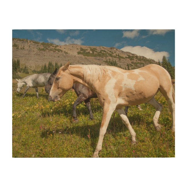 Horses and Mules Wood Wall Art (Front)