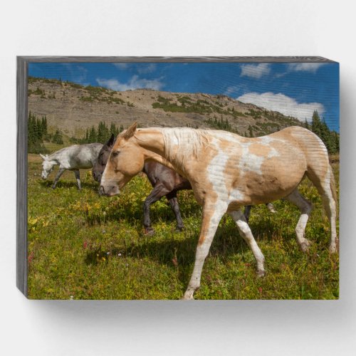 Horses and Mules Wooden Box Sign