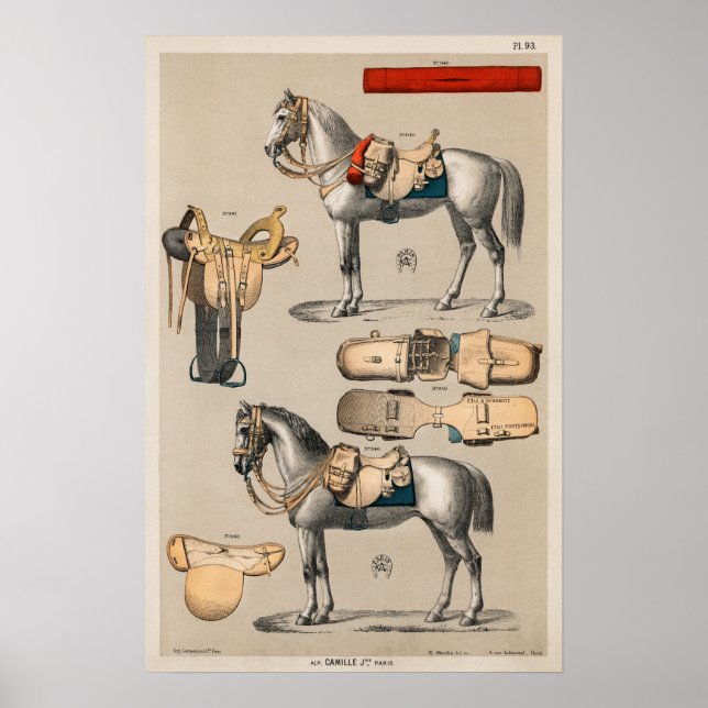 Horses and Saddles Poster (Front)