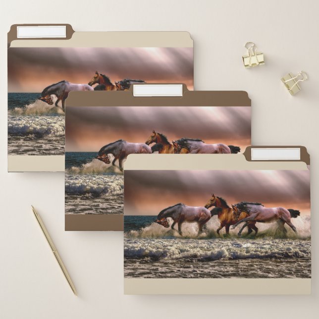 Horses And Sea File Folder (Set)