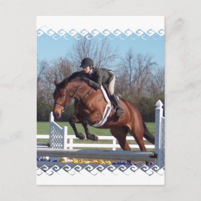 Horses and Show Jumping Postcard (Front)