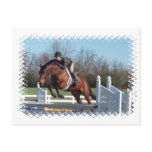 Horses and Show Jumping Postcard
