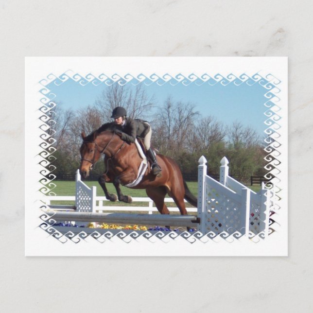 Horses and Show Jumping Postcard (Front)