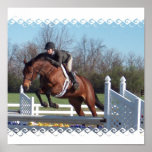 Horses and Show Jumping Poster Print