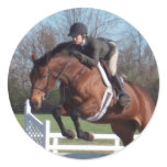 Horses and Show Jumping Stickers