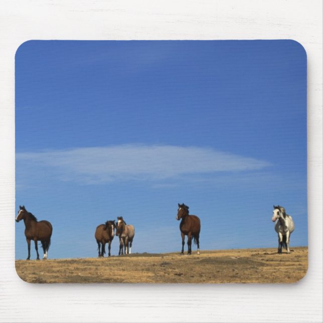 Horses and Sky Mouse Pad (Front)