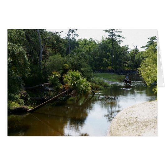 Horses and the River Cards (Front Horizontal)