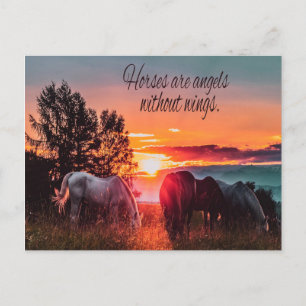 Horses are angels without wings postcard