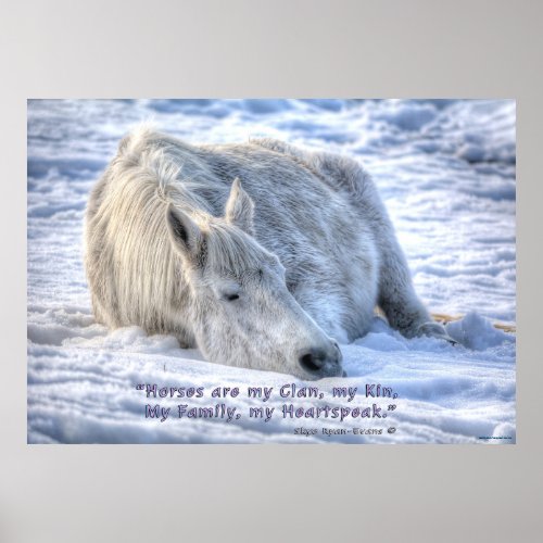 Horses are my Clan Quote Mare Asleep Motivational Poster