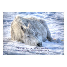 Horses are my Clan Quote Mare Asleep Motivational