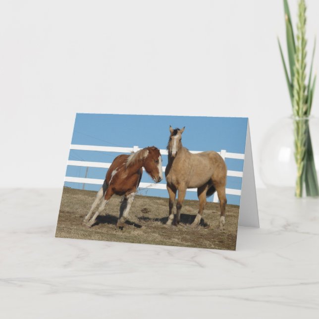 Horses Argue, Friends Forever Card (Front)