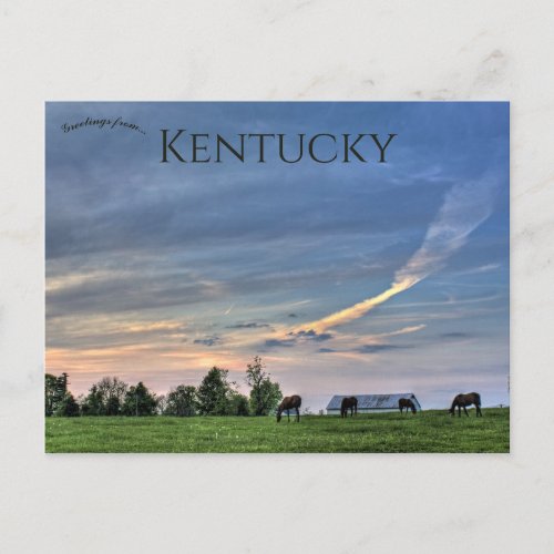 Horses at Sunset in Lexington Kentucky Postcard