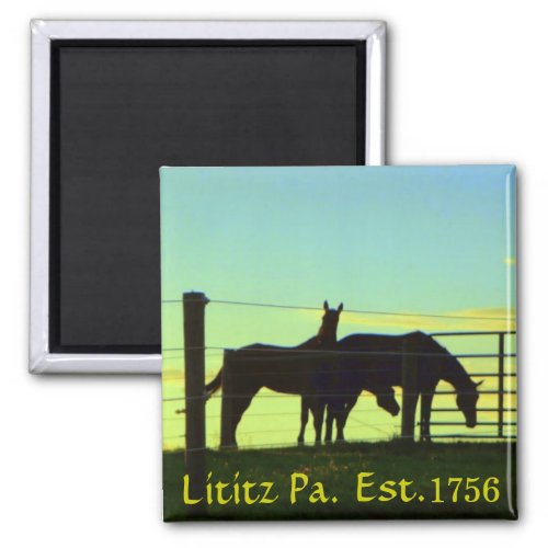 Horses at Sunset in Lititz Pa Magnet