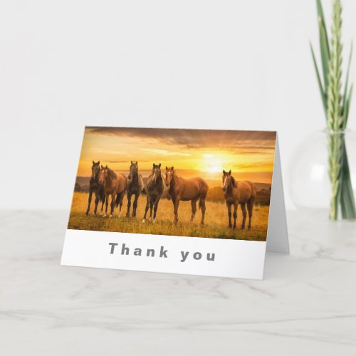 Horses at sunset thank you card