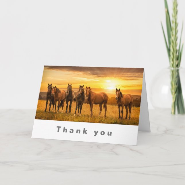 Horses at sunset thank you card (Front)