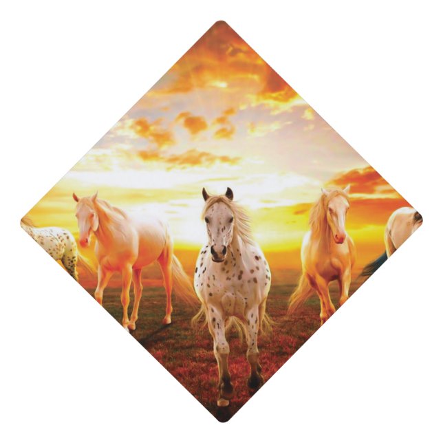 Horses at sunset throw pillow graduation cap topper (Front)