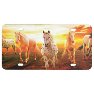Horses at sunset throw pillow license plate