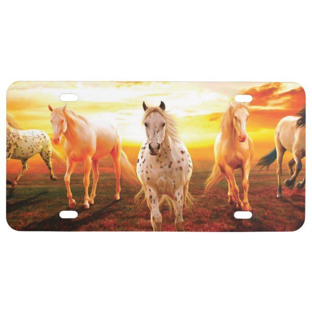 Horses at sunset throw pillow license plate (Front)