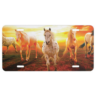 Horses at sunset throw pillow license plate
