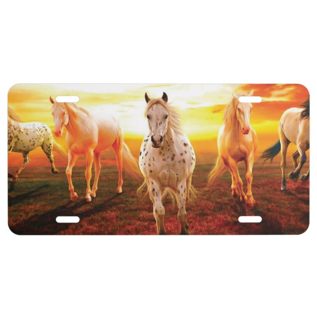 Horses at sunset throw pillow license plate (Front)