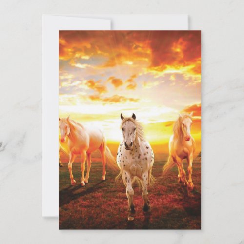 Horses at sunset throw pillow thank you card