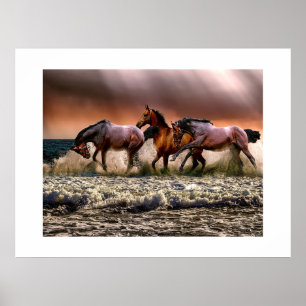 Horses at the beach poster