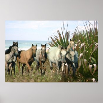 Horses At The Beach Print by horsesense at Zazzle