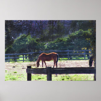 Horses at the Farm Poster