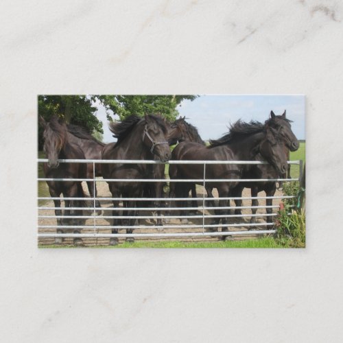 Horses at the Fence Business Card