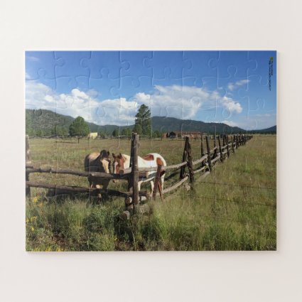Horses At The Split Rail Fence Photograph