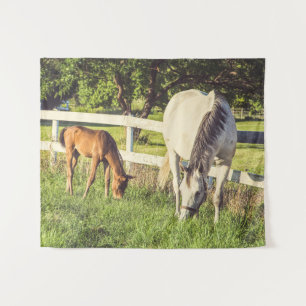 Horses Baby Farm Animals Medium Tapestry