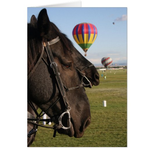 Horses & Balloons Cards (Front)