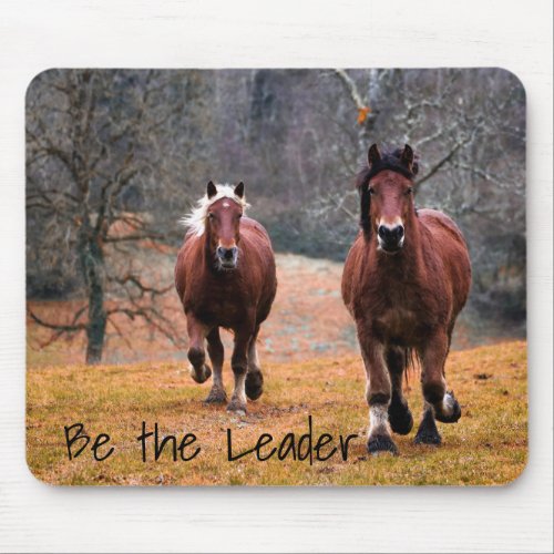 Horses Be The Leader Mouse Pad