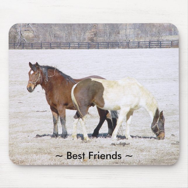Horses Best Friends Mousepad (Front)
