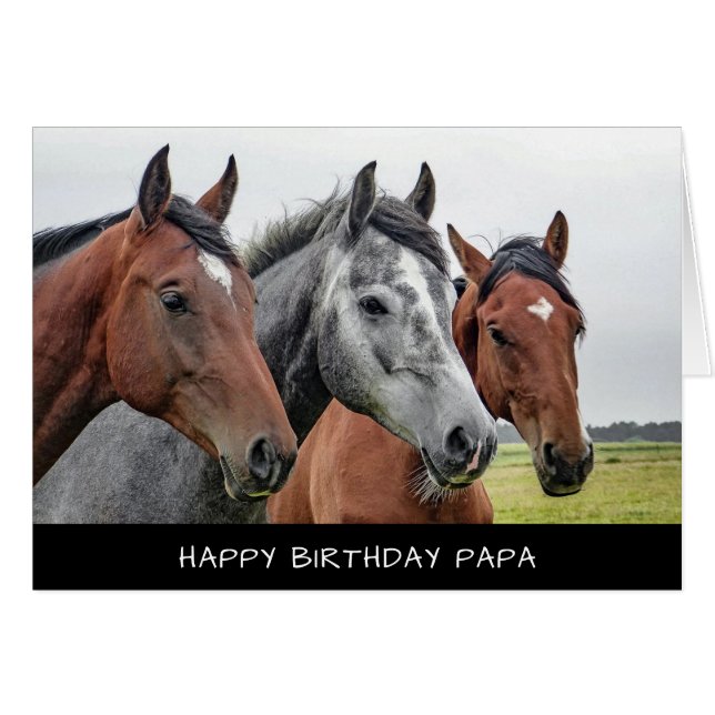 Horses Birthday Card (Front Horizontal)