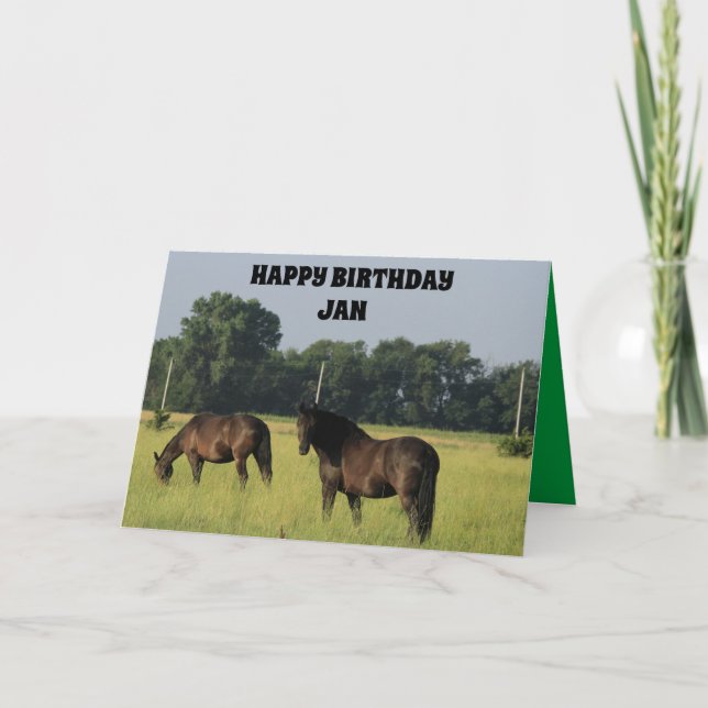 Horses Birthday Card (Front)