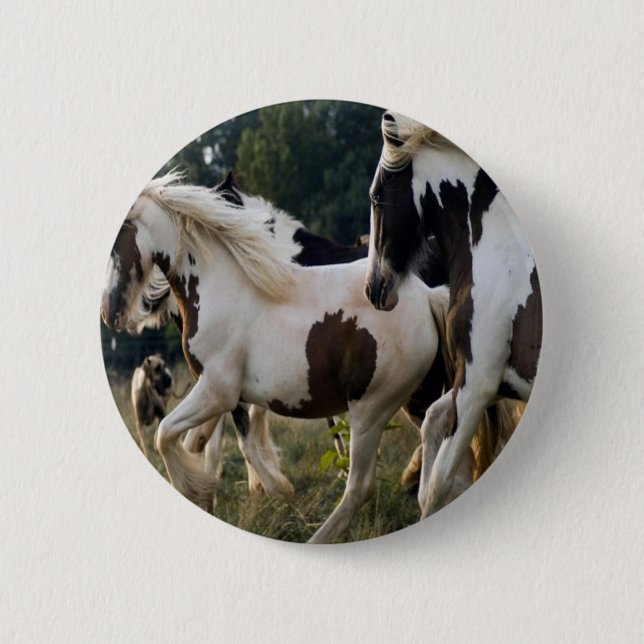 HORSES BLACK AND WHITE 1.PNG BUTTON (Front)