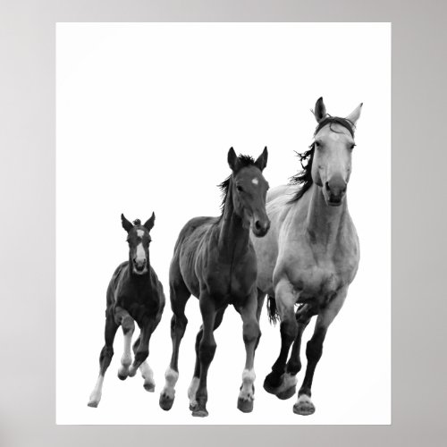 Horses Black White  Style Modern Poster