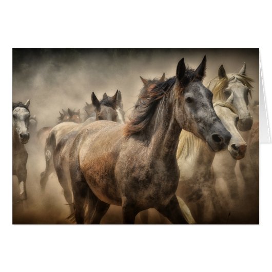 Horses Blank Card (Front Horizontal)