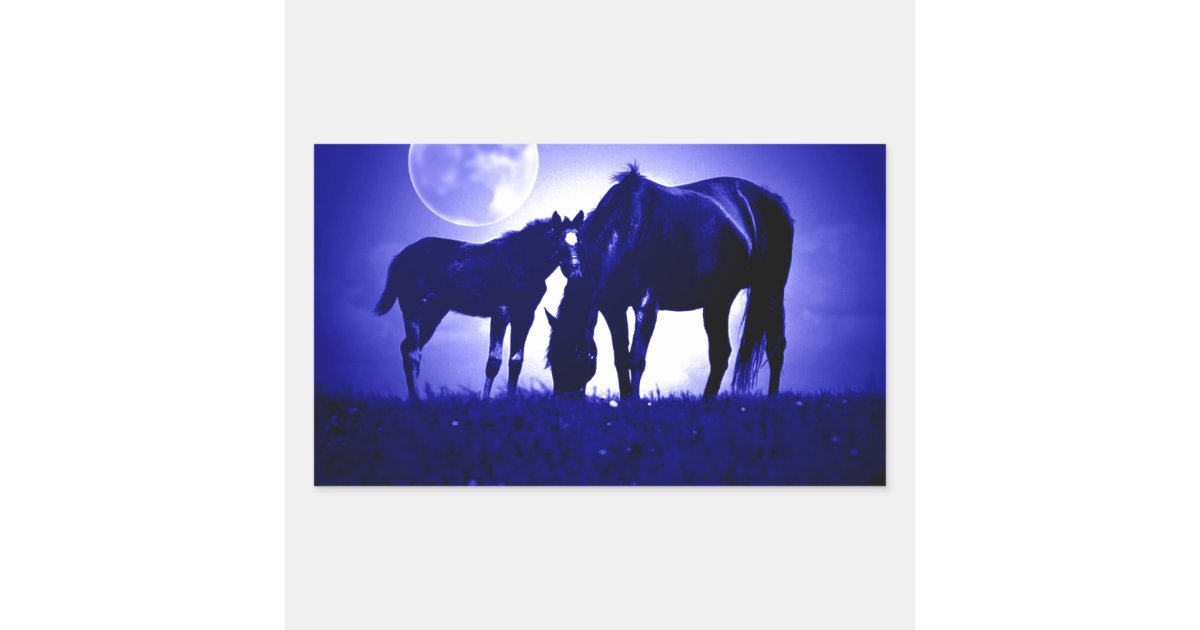 Horses & Blue Night Rectangular Sticker | Zazzle