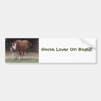 Horses Bumper Sticker by patcallum at Zazzle