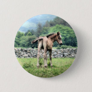 HORSES BUTTON