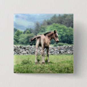 HORSES BUTTON