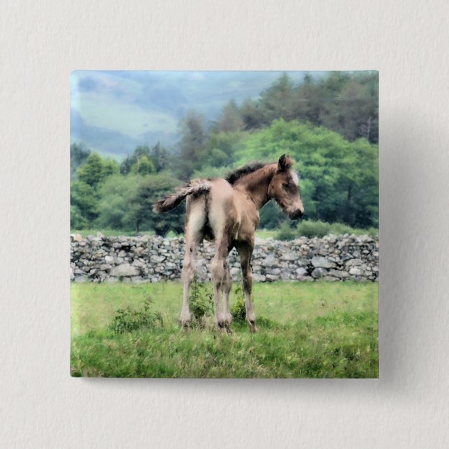 HORSES BUTTON (Front)