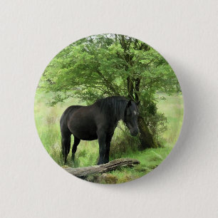 HORSES BUTTON