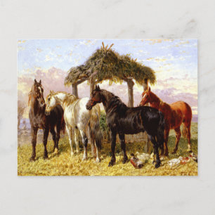 Horses by a river circa 1800s postcard