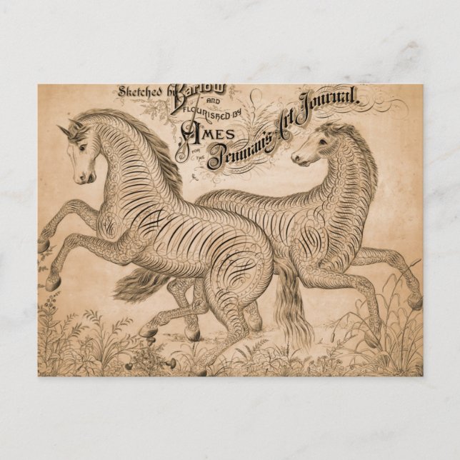 Horses By Penmanship Postcard (Front)
