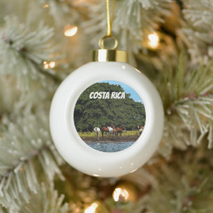 Horses by the water - Costa Rica  Ceramic Ball Christmas Ornament